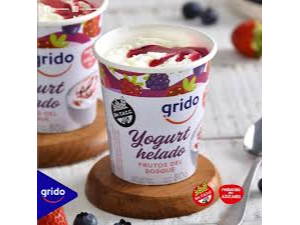 YOGURT HELADO (SIN TACC) (6 UNIDADES)