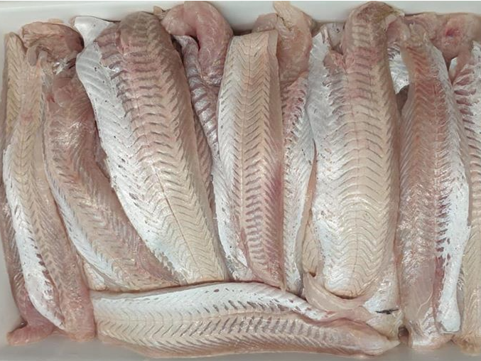 filet de merluza s/espina