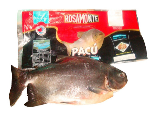 Pacu entero