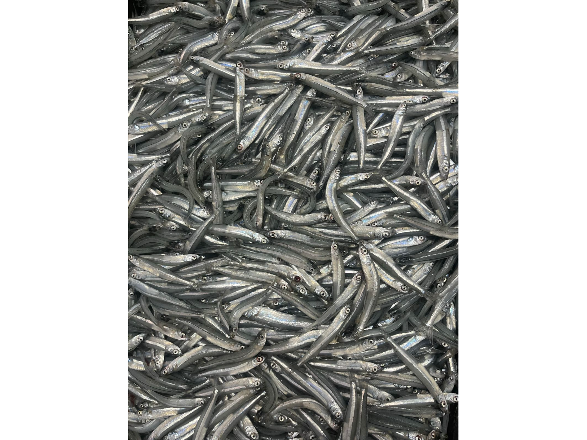 Cornlitos