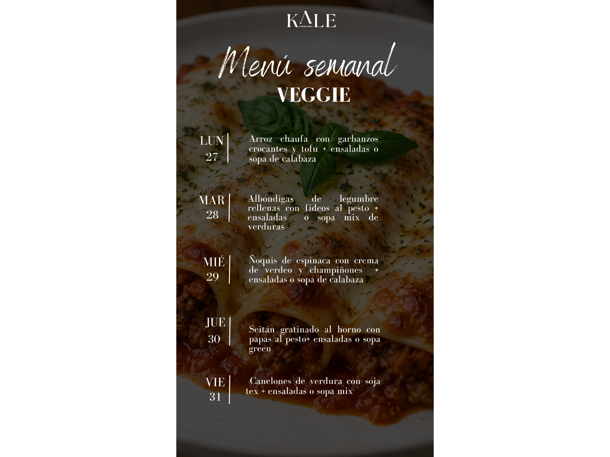 VIANDA VEGGIE
