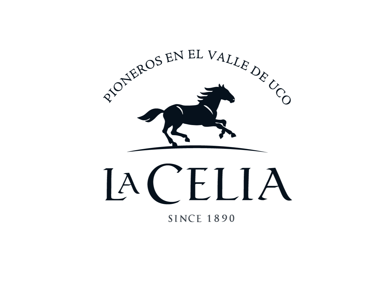 Vino en botella