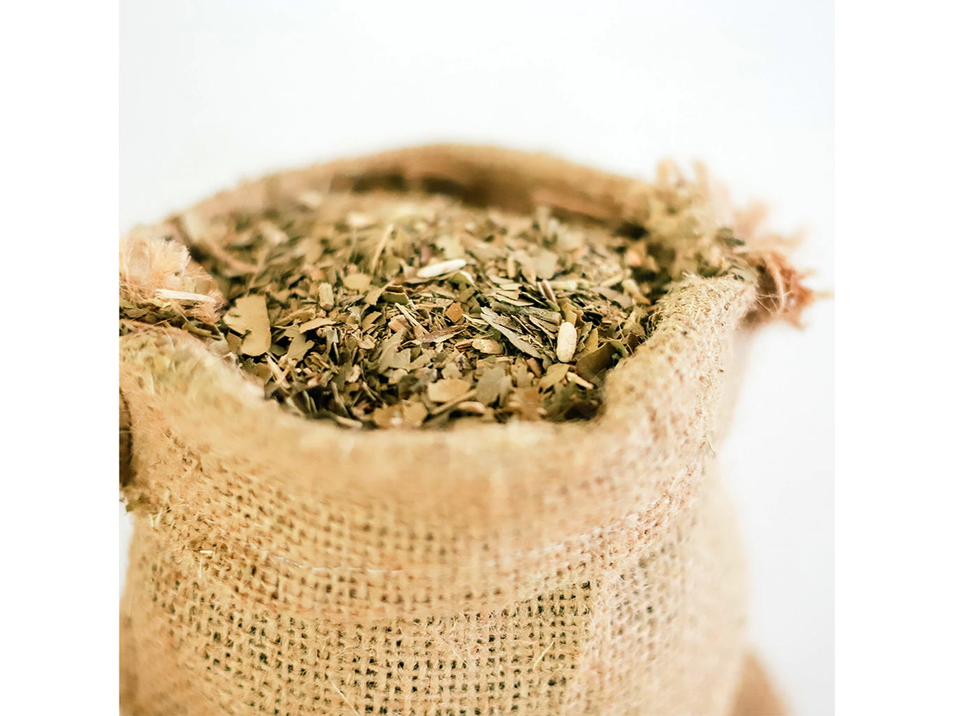 Yerba Canchada de la casa