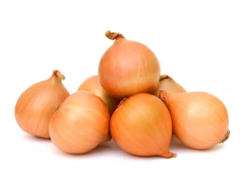 CEBOLLA