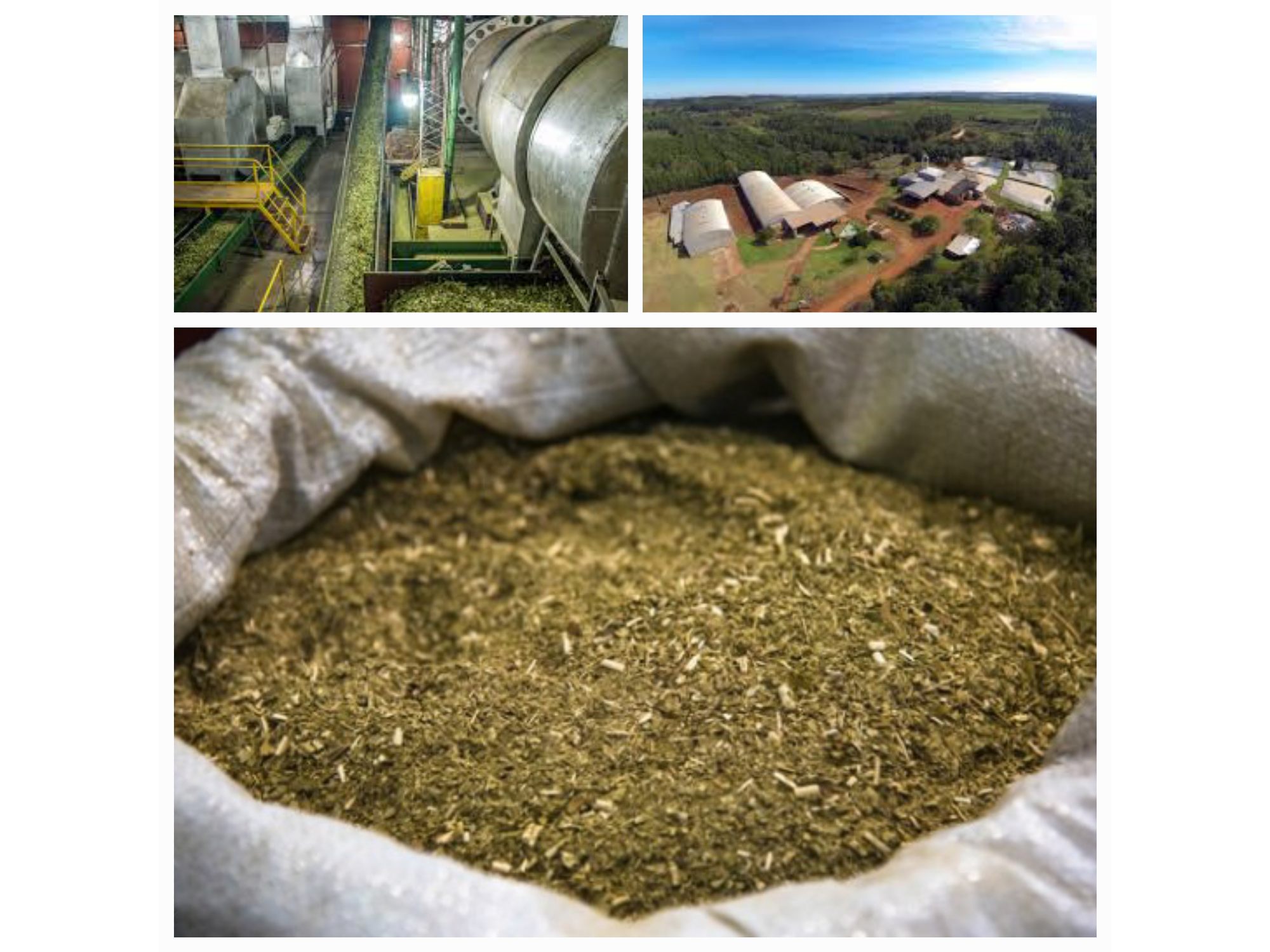 1kg YERBA MATE A GRANEL (MISIONERA )