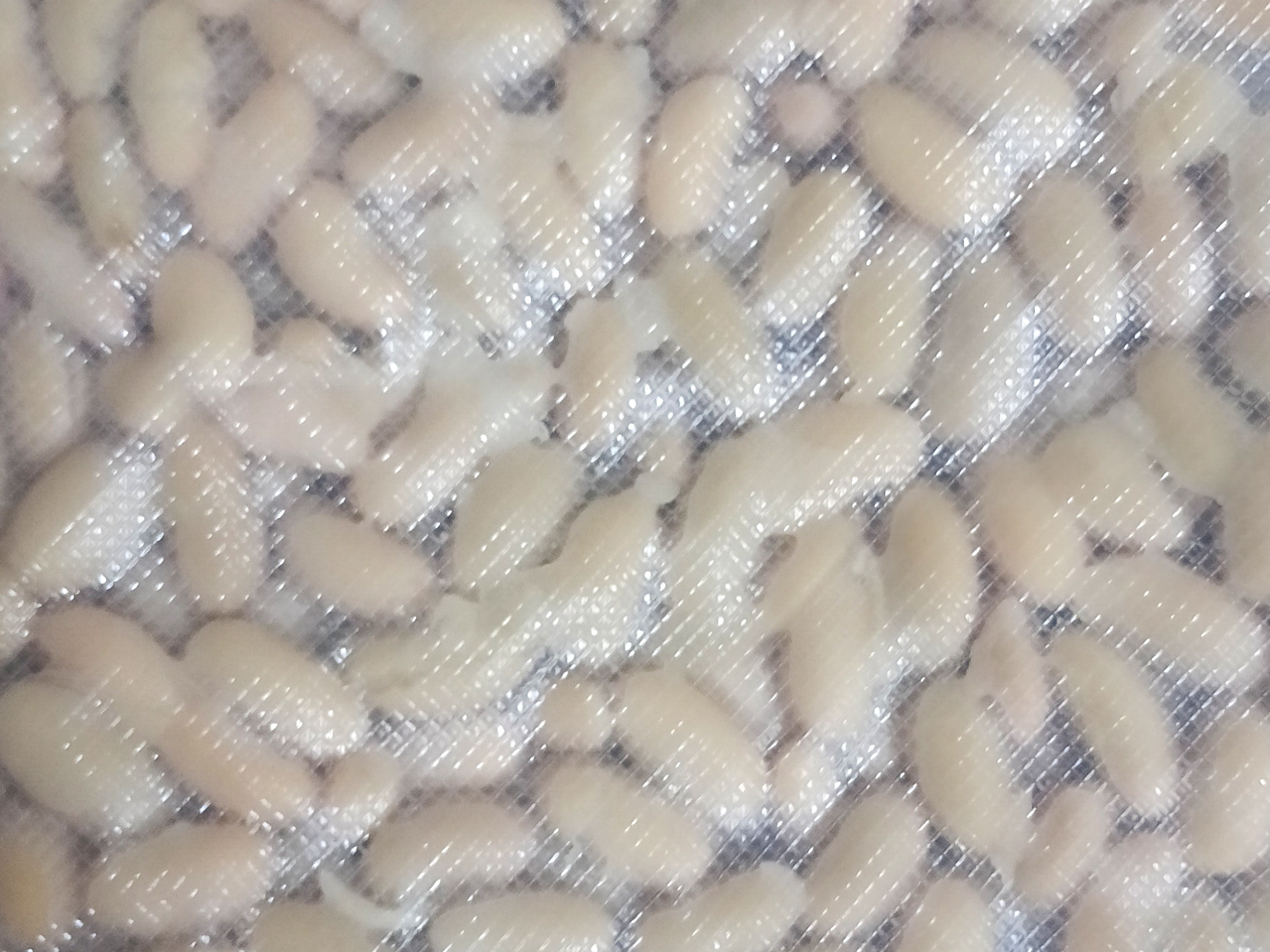 POROTOS 500gr envasado al vacío