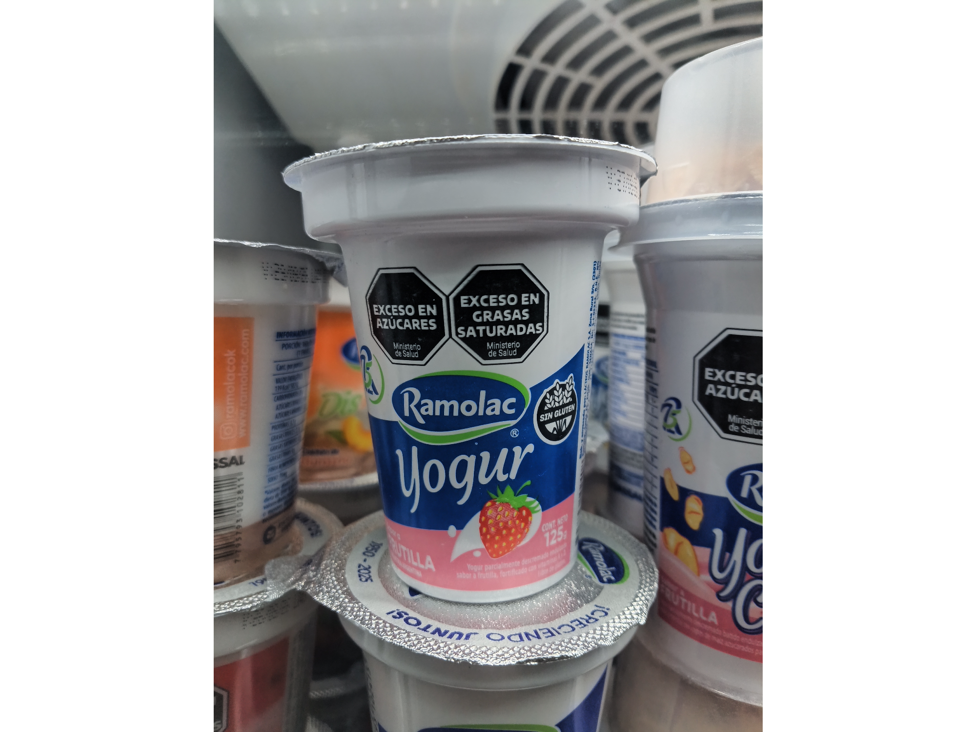 Yogurt frutilla 125 gr