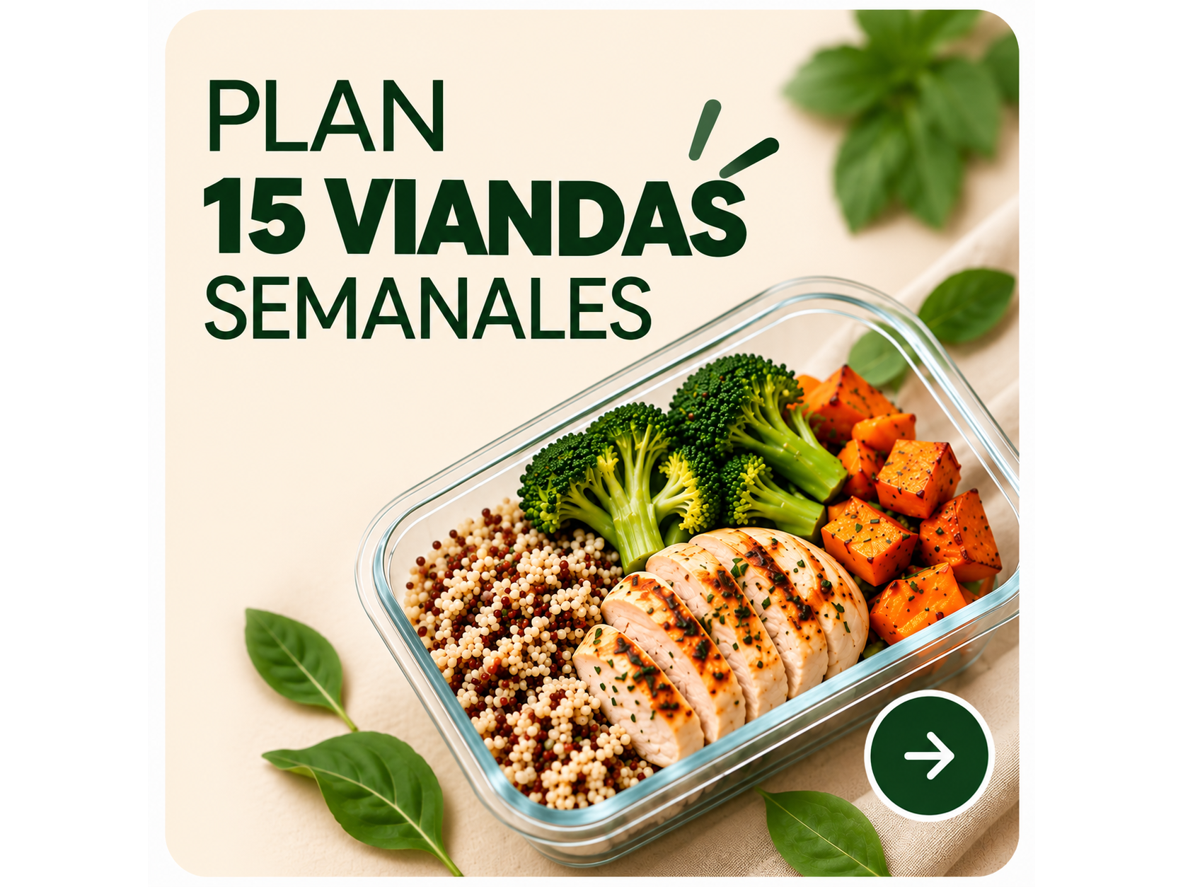 PLAN 15 VIANDAS PROTEICAS