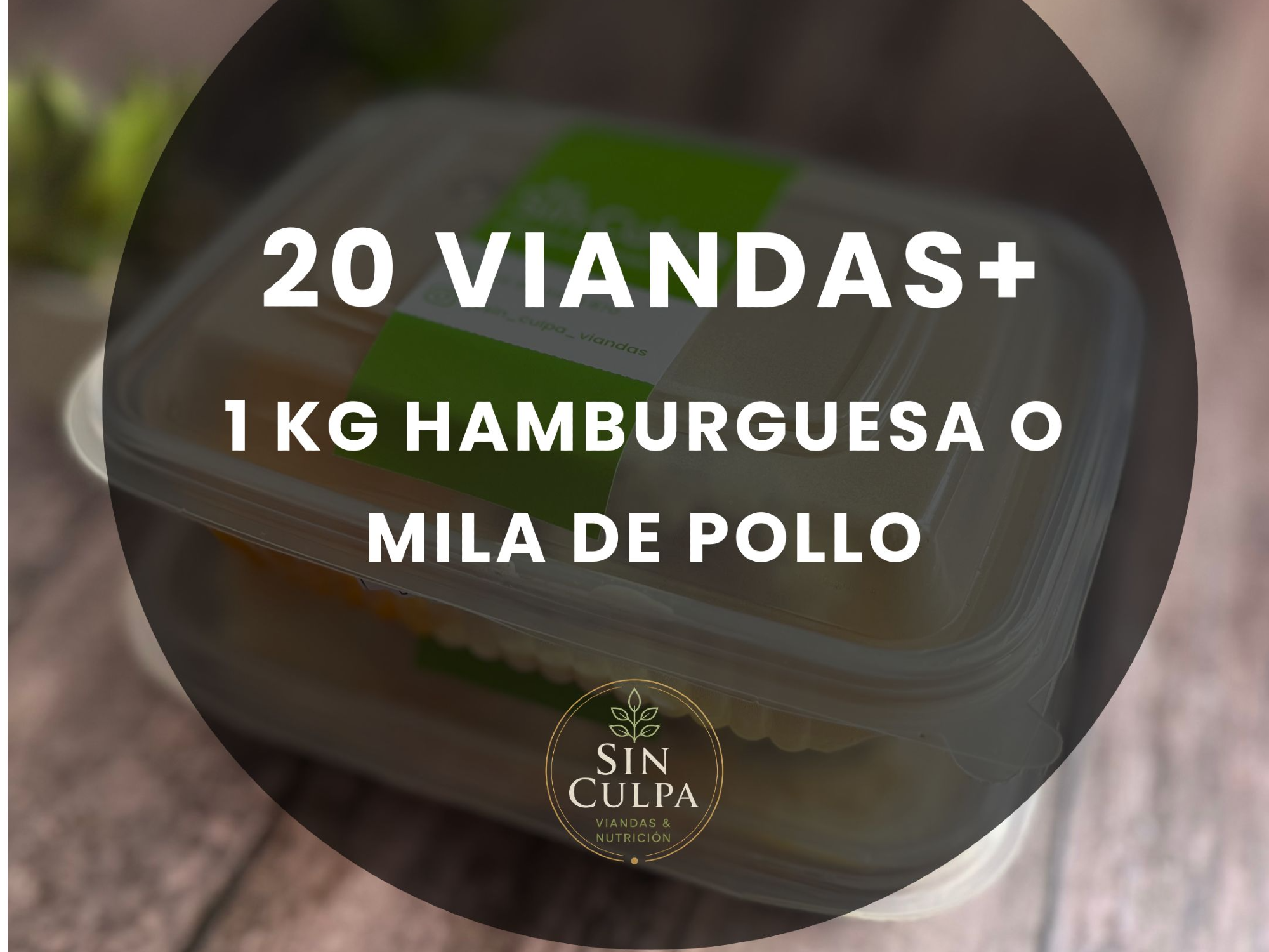 COMBO SIN CULPA ( 20 viandas + 1kg milanesa o hamb. pollo)