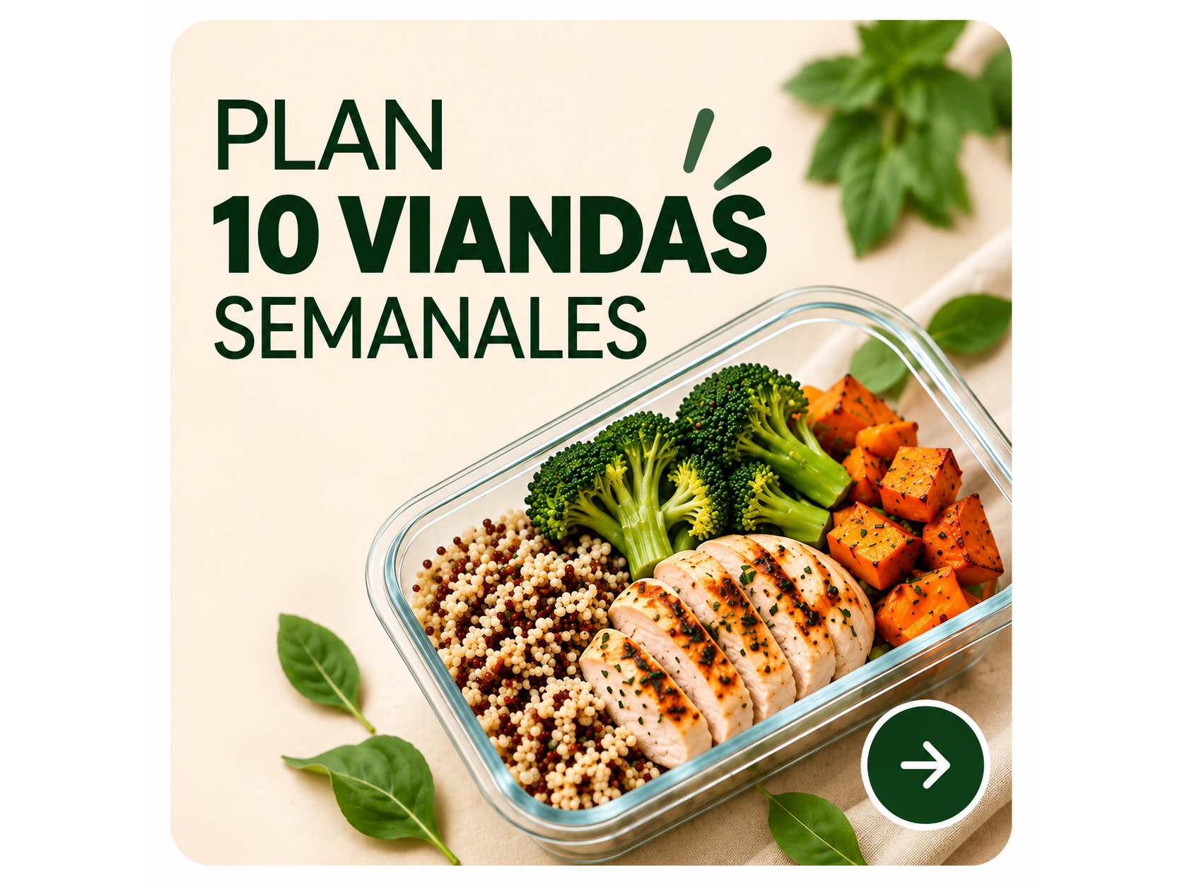 PLAN 10 VIANDAS LIVIANO