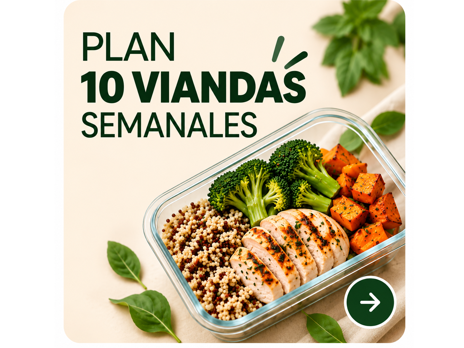 PLAN 10 VIANDAS PROTEICAS