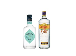 1 GIN GORDONS + 1 GIN BRIGHTON