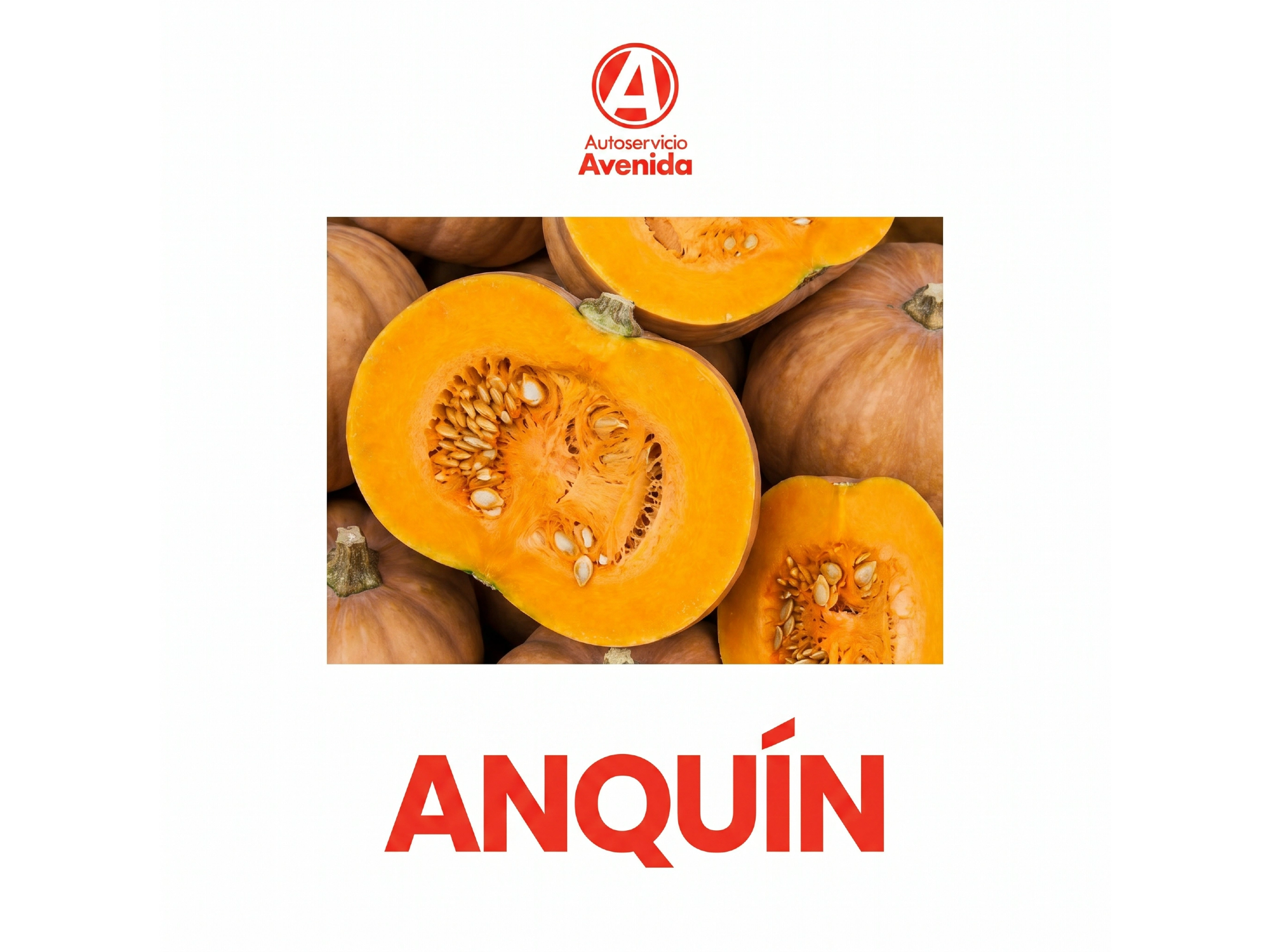 Anquin