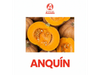 Anquin