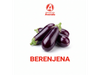 Berenjena
