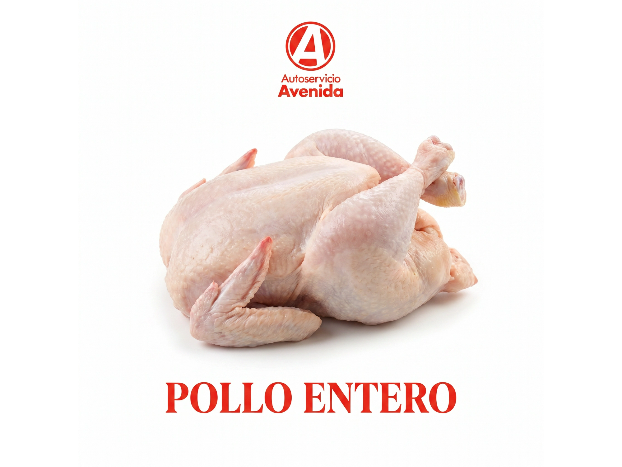 Pollo