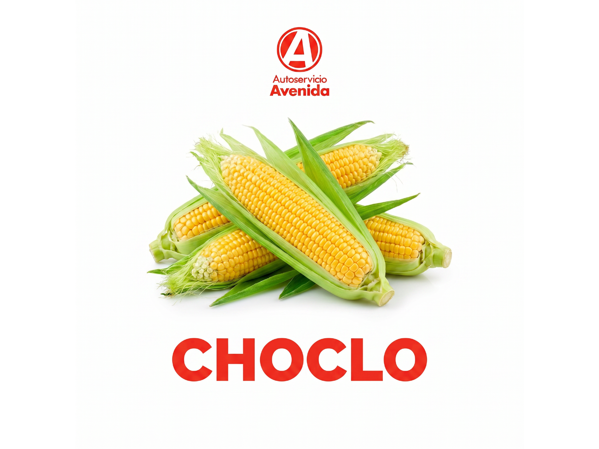 Choclo
