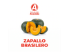 Zapallo Brasilero