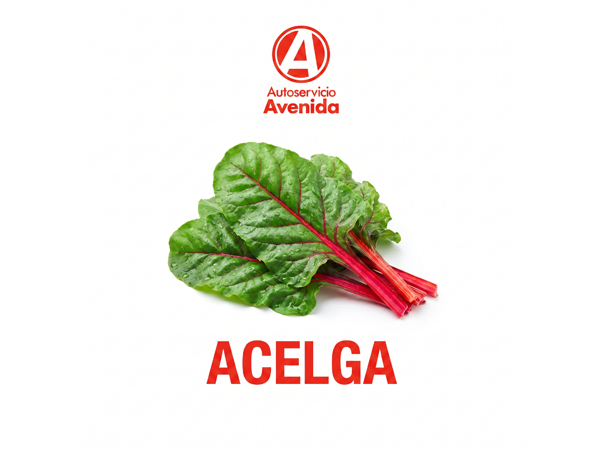 Acelga