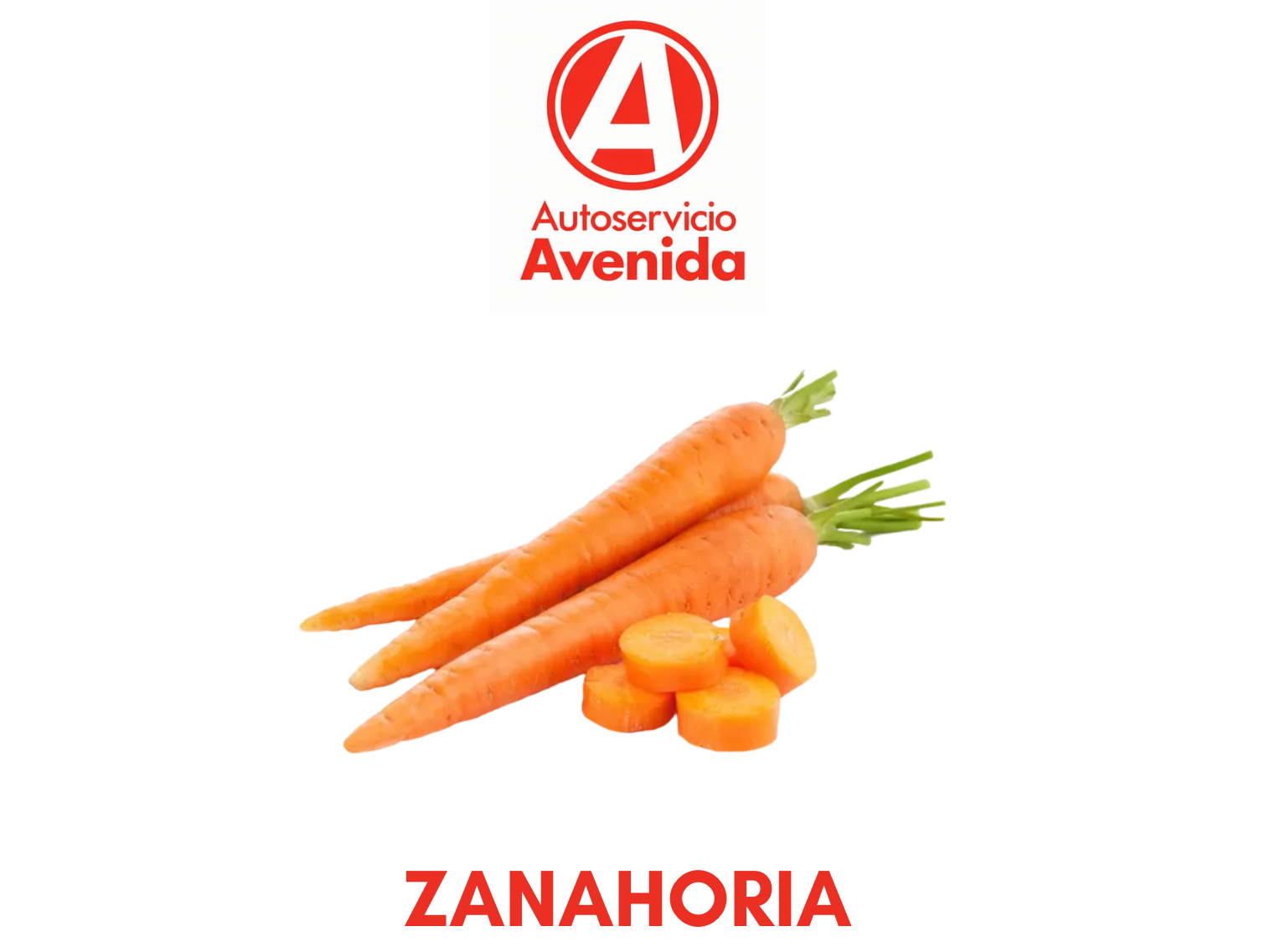 Zanahoria