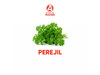 Perejil