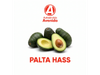 Palta Hass