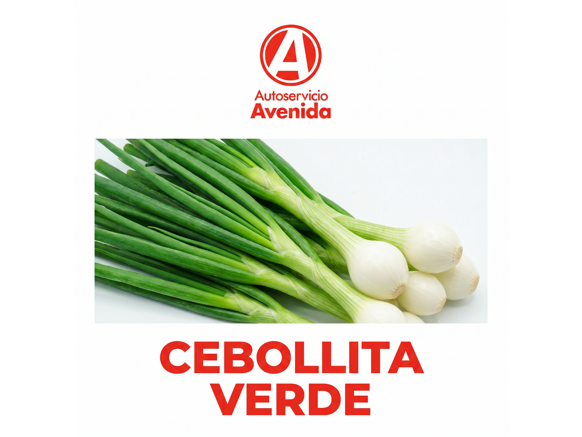 Cebollita de Verdeo