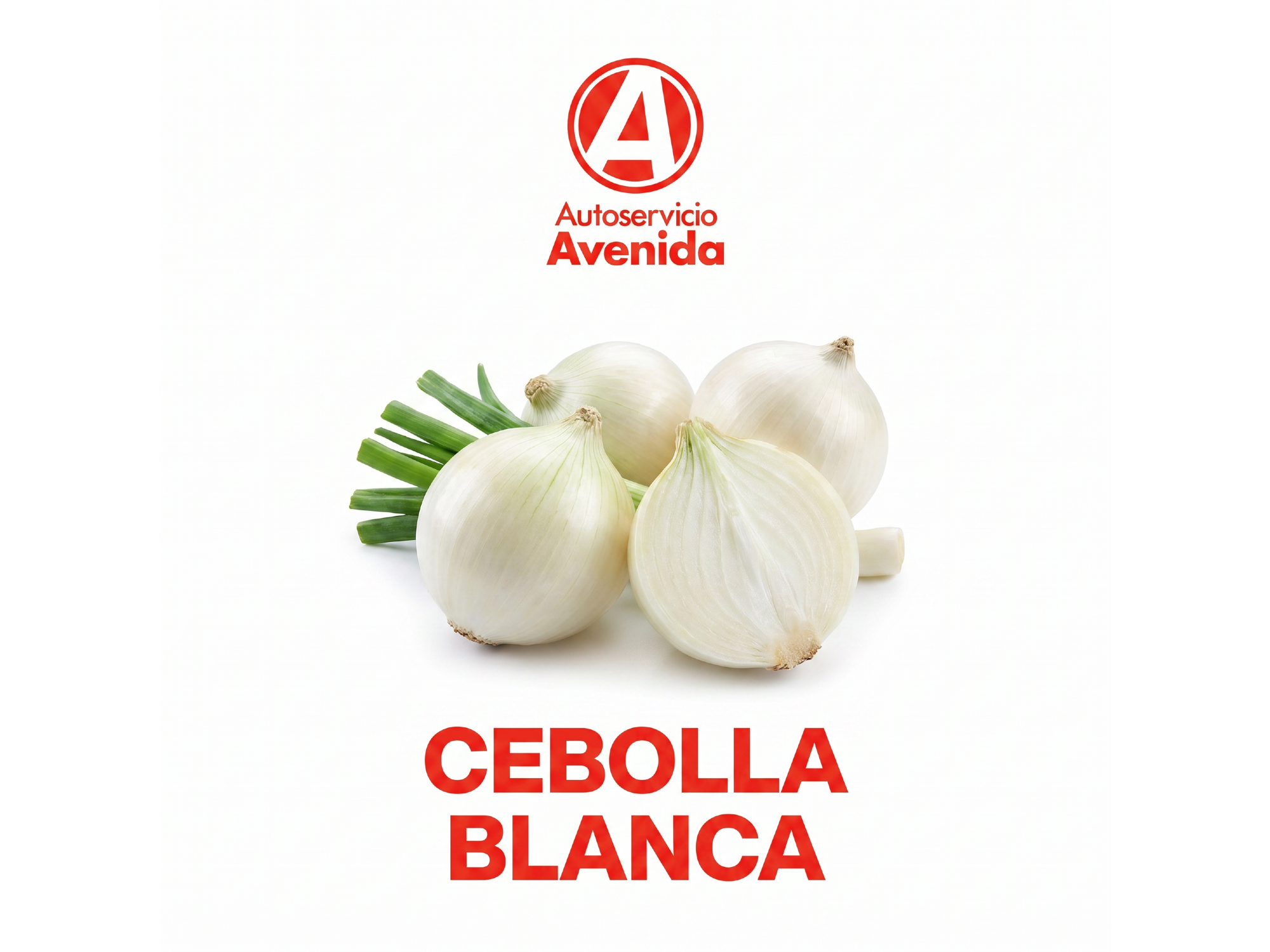 Cebolla