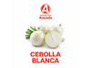 Cebolla