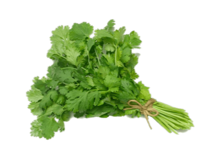 Perejil fresco