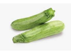 Zucchini