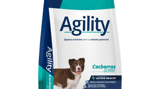 Agility / Sieger