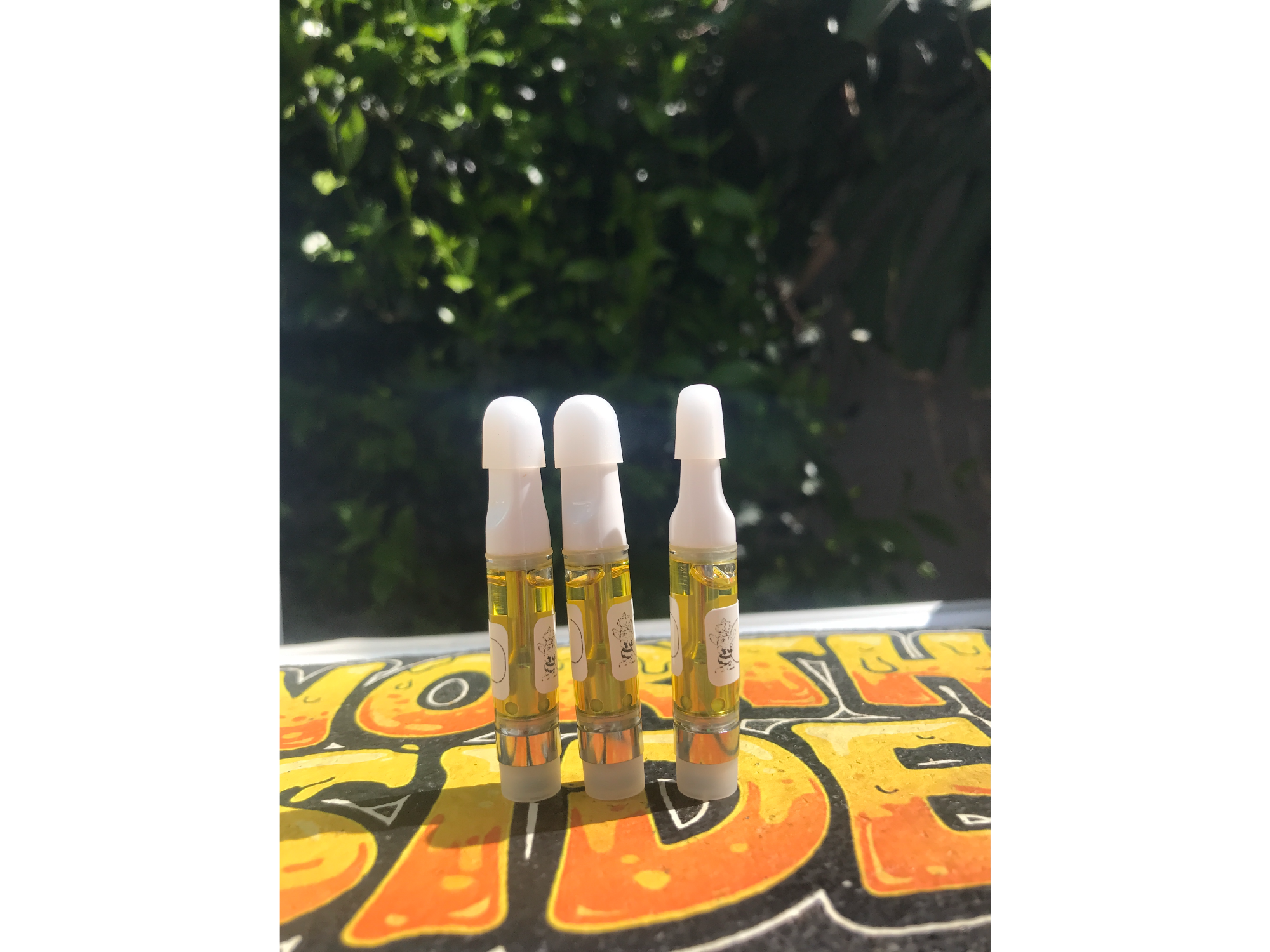 Promo 3 capsulas de NorthSide Extracts