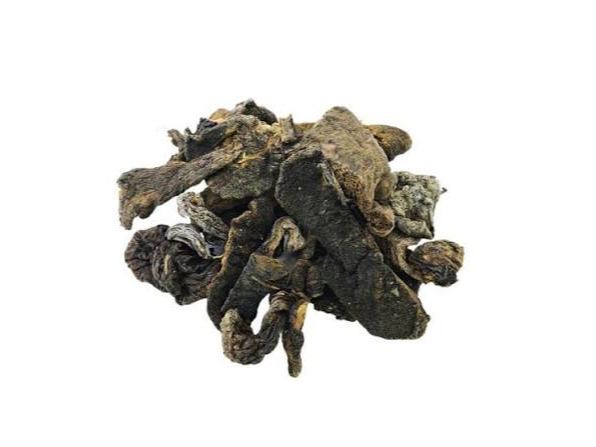 HONGOS DE PINO