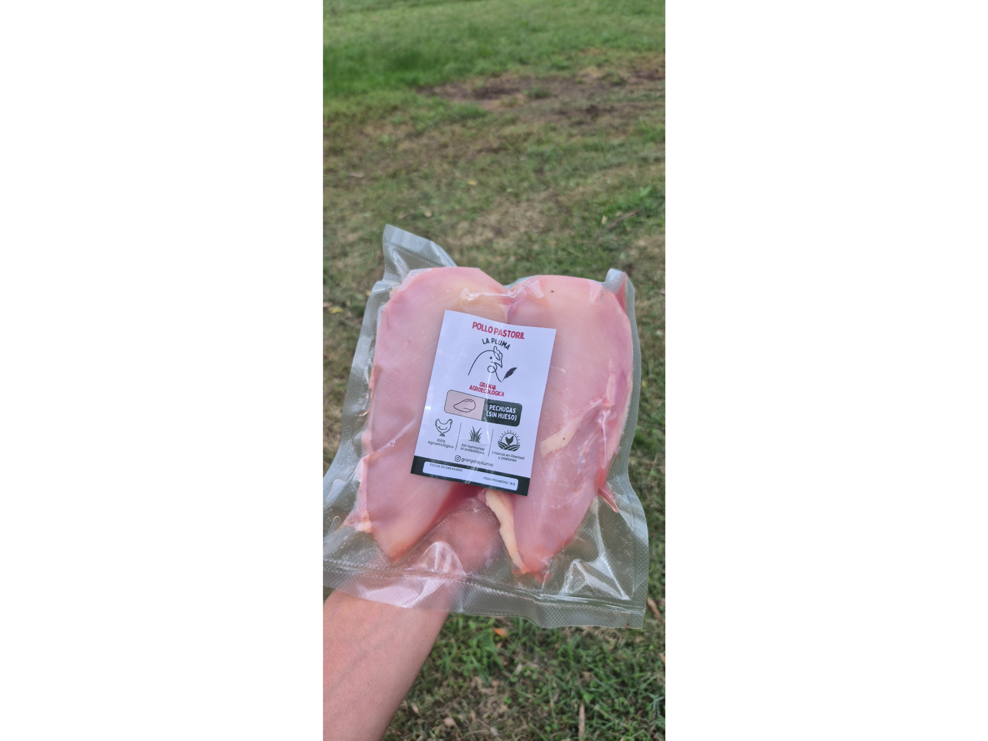 Pechugas de POLLO PASTORIL