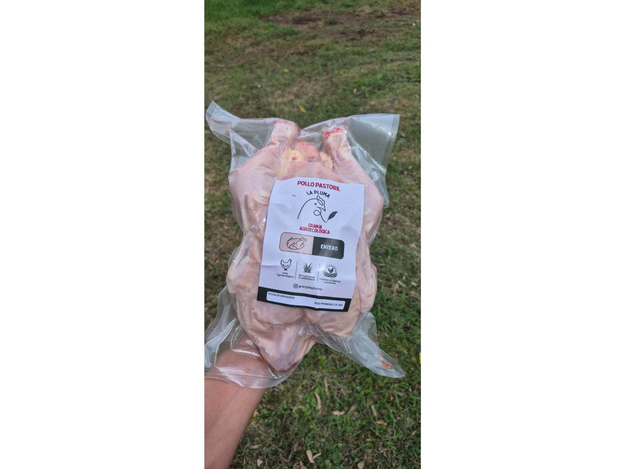 Pollo pastoril ENTERO fresco de Granja La Pluma