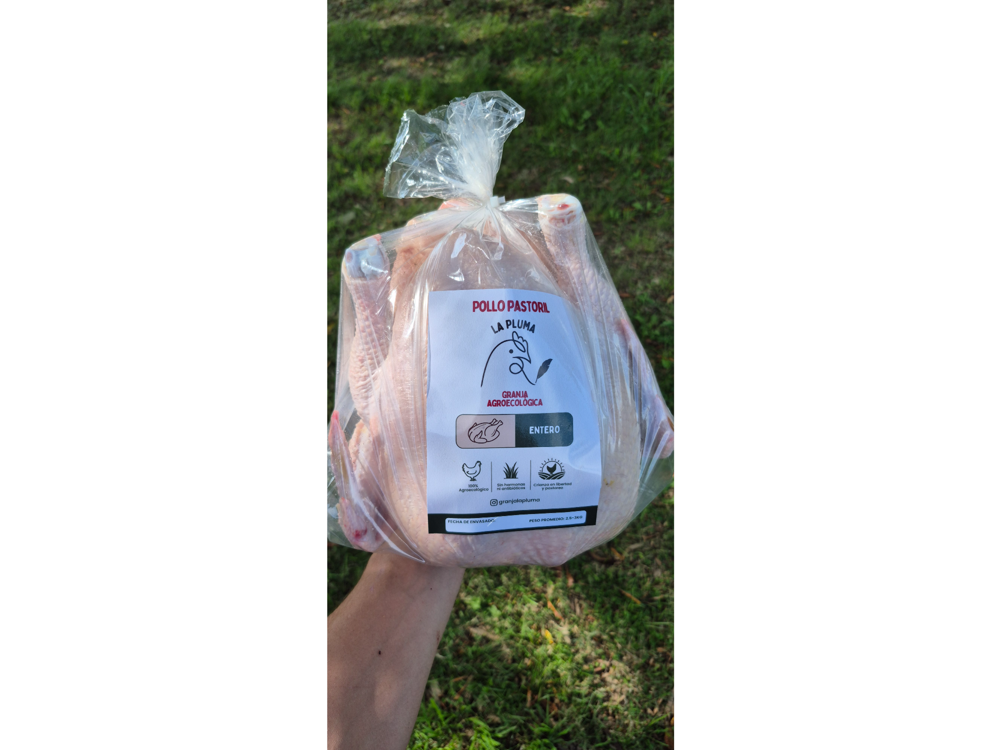 Pollo pastoril ENTERO congelado de Granja La Pluma