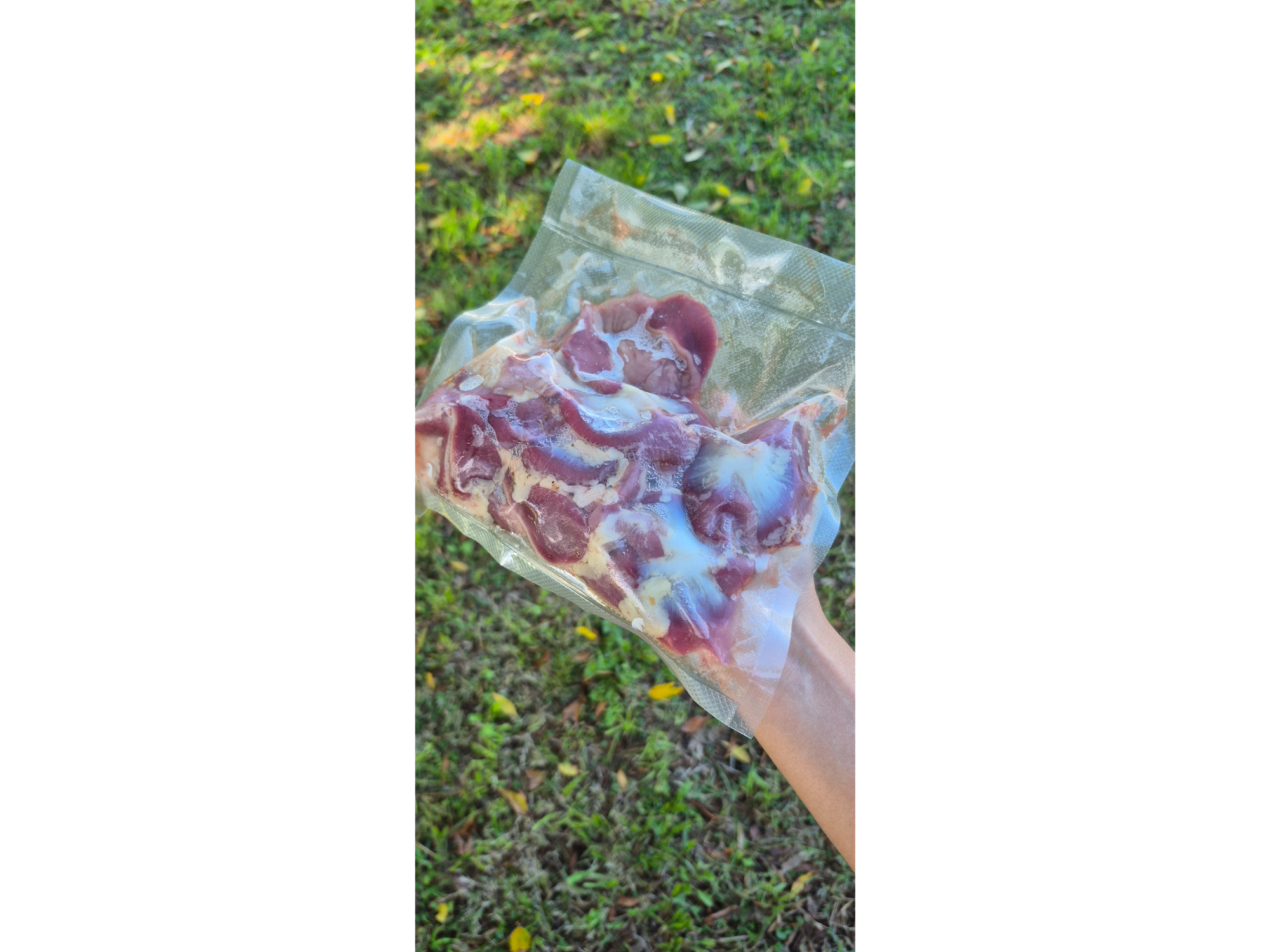 Pancita de pollo pastoril (500 gr)