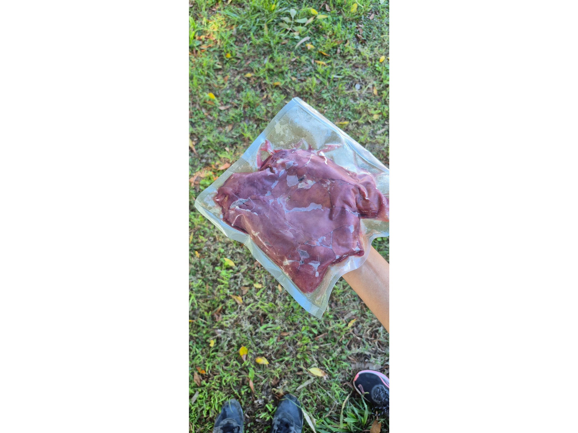 Higado de pollo pastoril (500 gr)