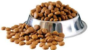 ALIMENTOS BALANCEADOS