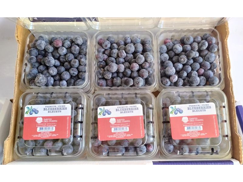 ARANDANO EN BANDEJA  X 125g