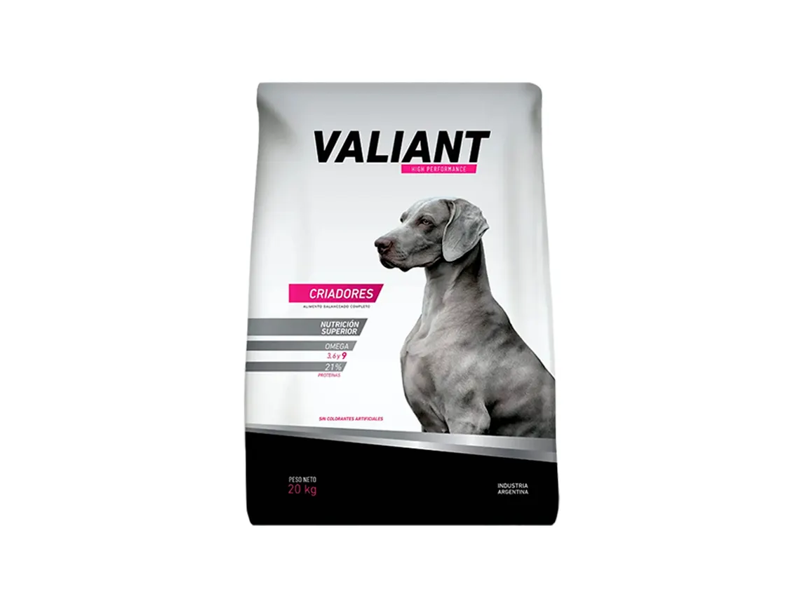 VALIANT PERRO