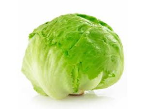 LECHUGA REPOLLADA