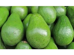 PALTA MANTECOSA X KG