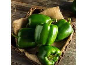 PIMIENTO VERDE