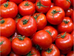 TOMATE REDONDO