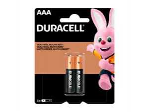 PILAS DURACELL AAA X 2 UNID