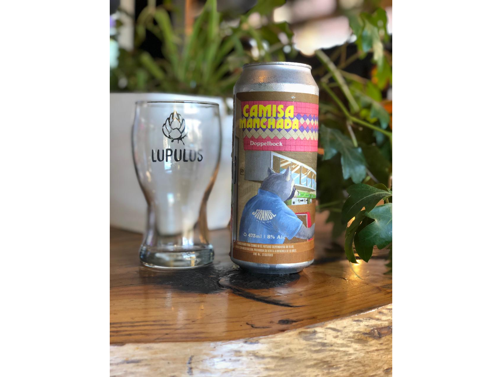 Camisa manchada - DOPPELBOCK
