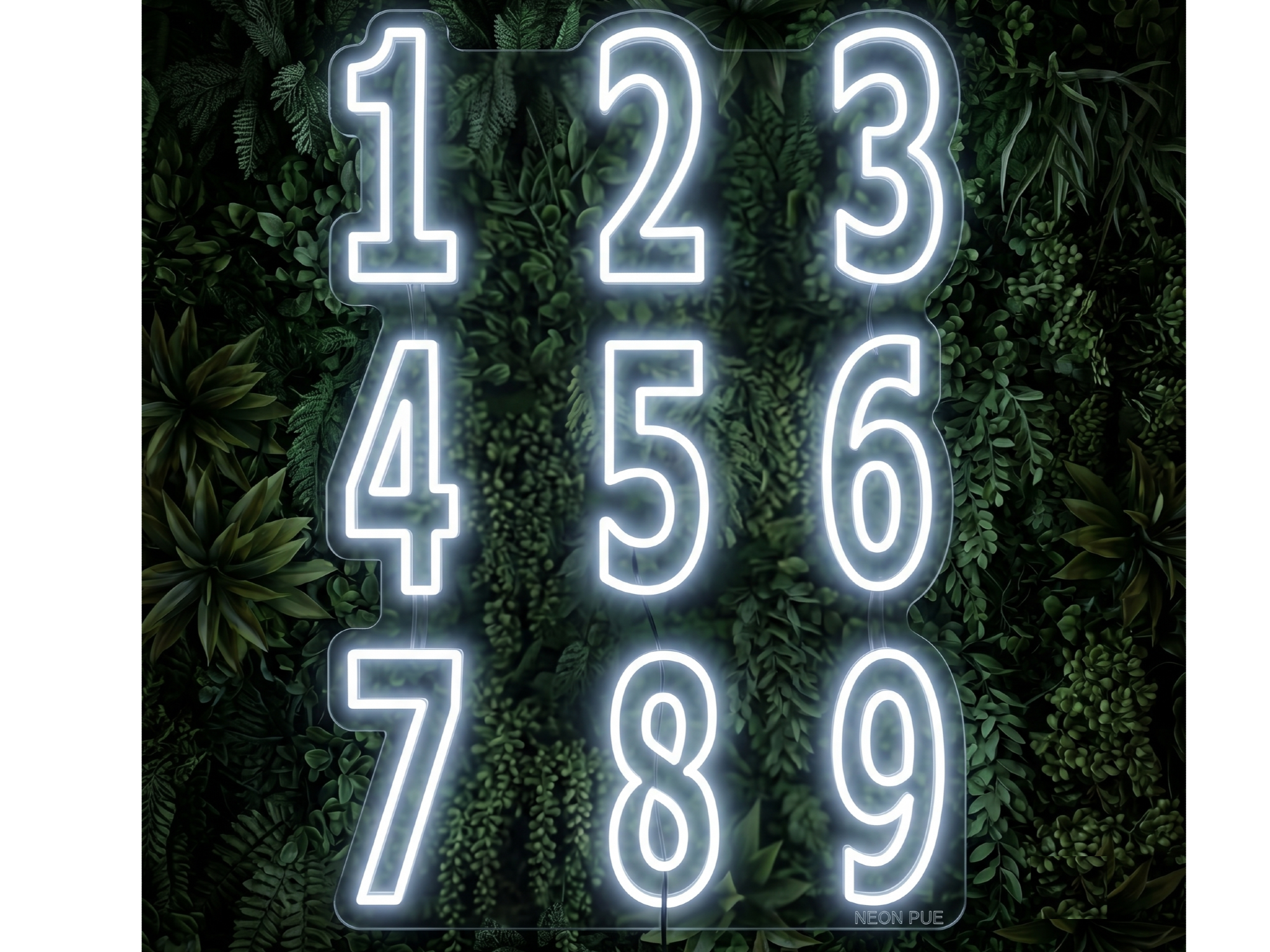 COMBO NUMEROS