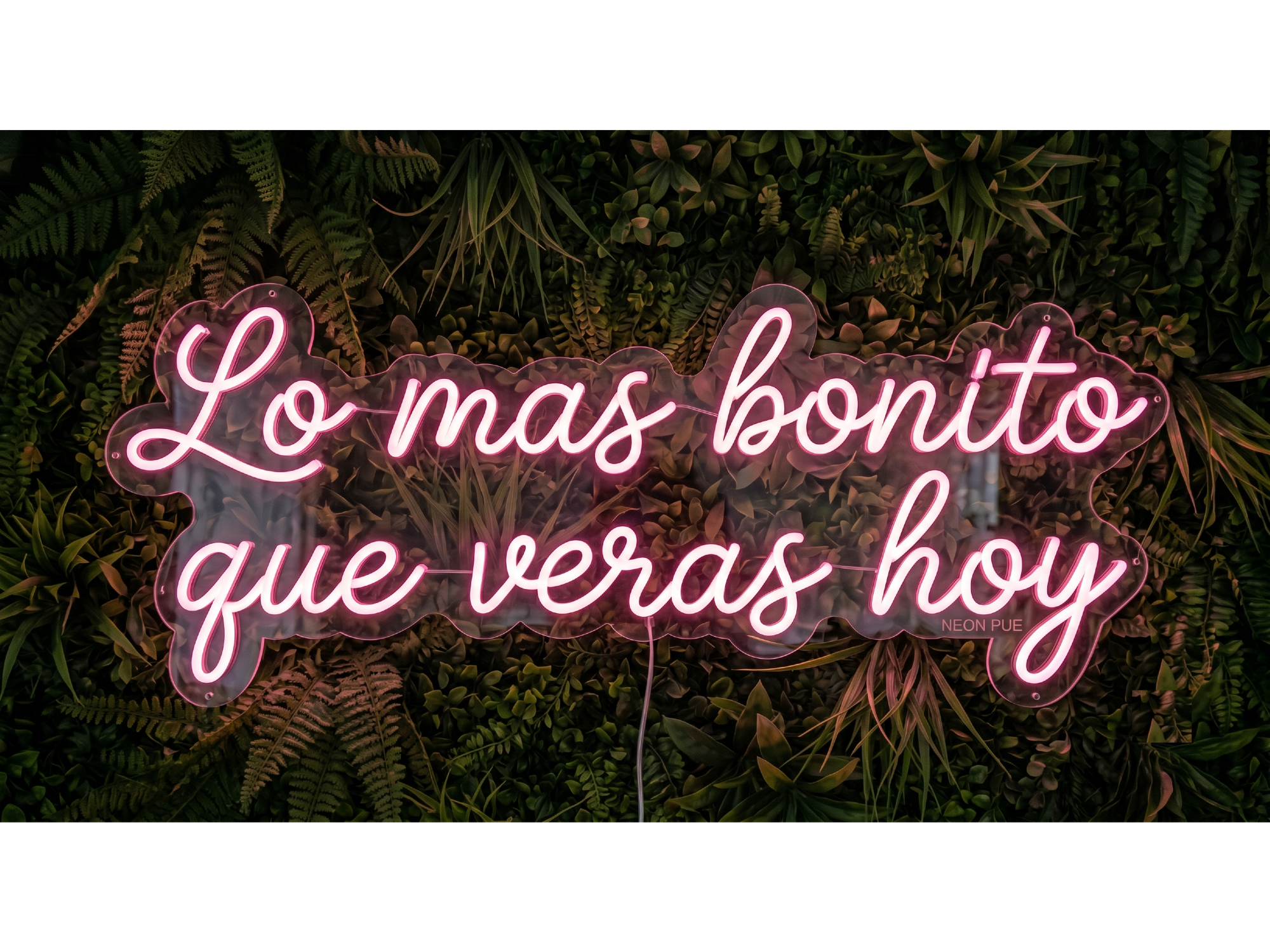 LO MAS BONITO QUE VERAS HOY